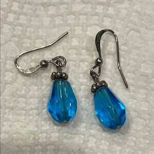 Vibrant Blue Teardrop Earrings